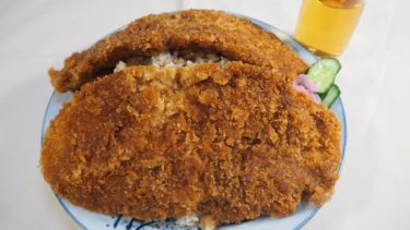 デカ盛り埼玉 【カツどん編】 小鹿野町 東大門