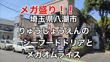 デカ盛り埼玉 【洋食編】 八潮市 りゅうしょうえん